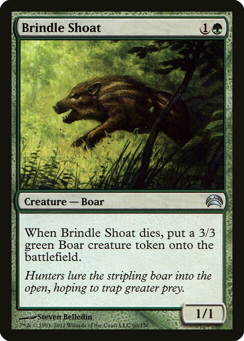 Brindle Shoat 60