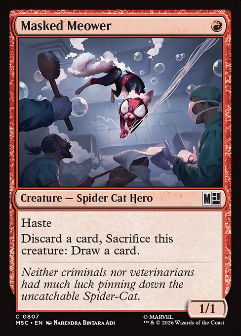 Masked Meower 807