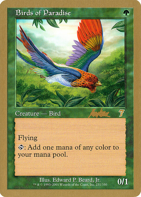 Birds of Paradise bk231