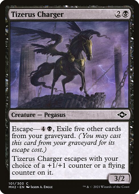 Tizerus Charger 101