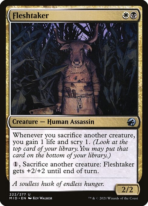 Fleshtaker 222