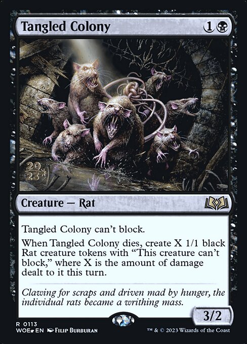 Tangled Colony 113s
