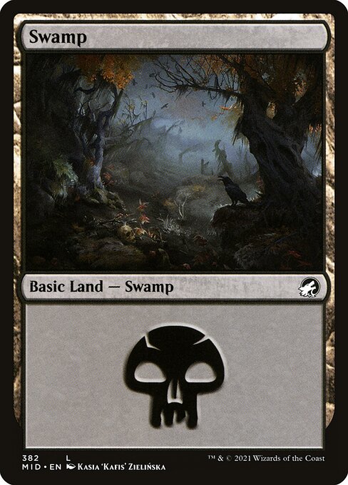 Swamp 382