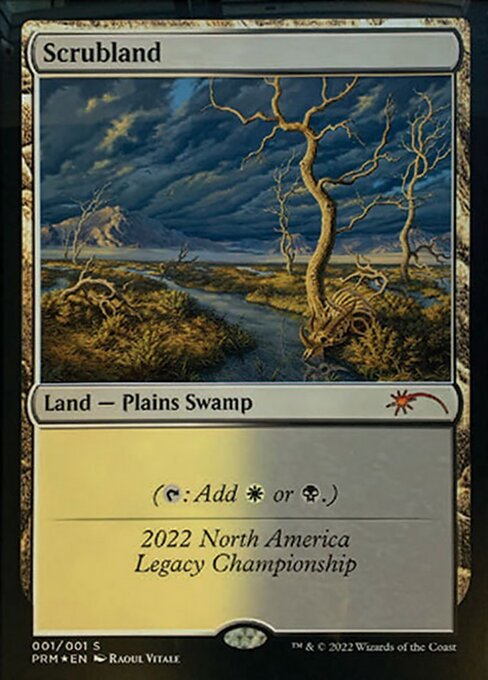 Scrubland 2022B