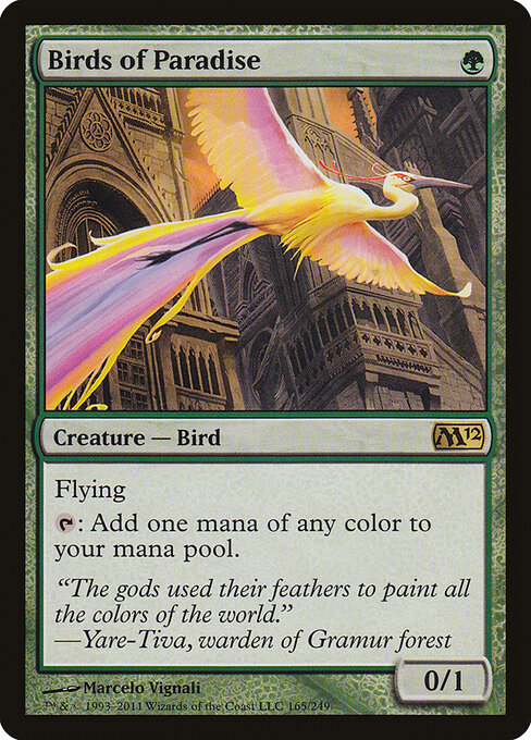 Birds of Paradise 165