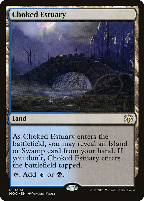 Choked Estuary 394