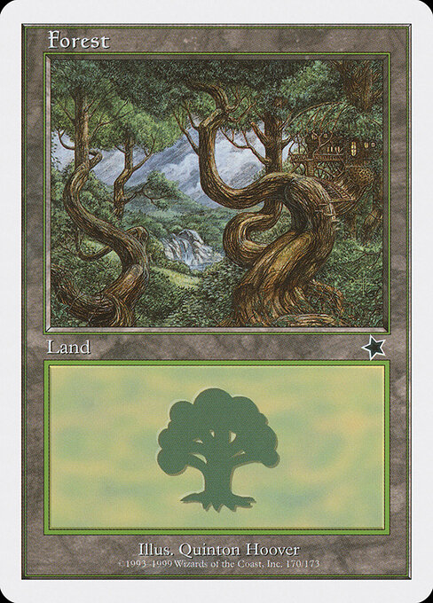 Forest 170