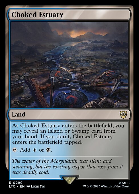 Choked Estuary 299