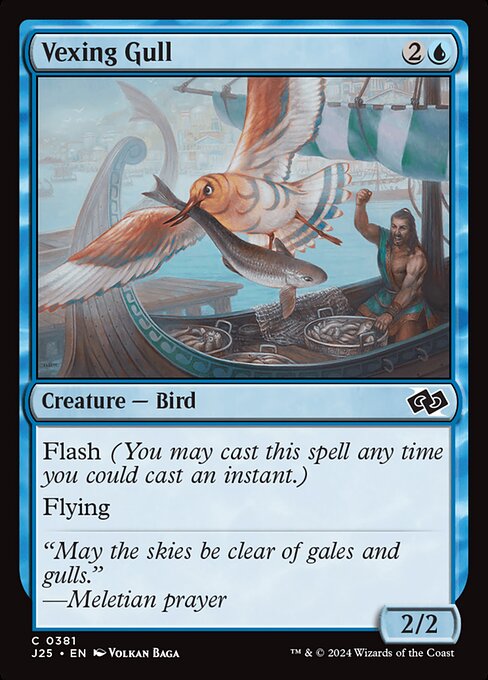 Vexing Gull 381