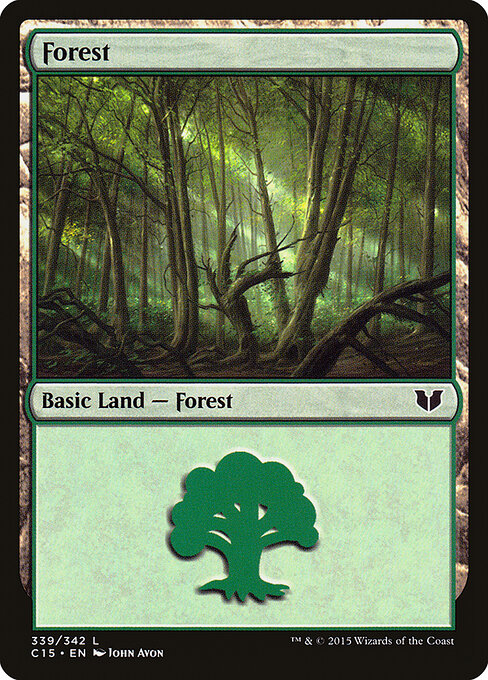 Forest 339