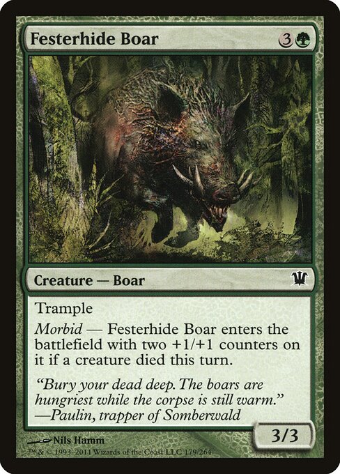 Festerhide Boar 179