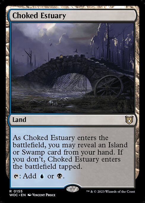 Choked Estuary 155