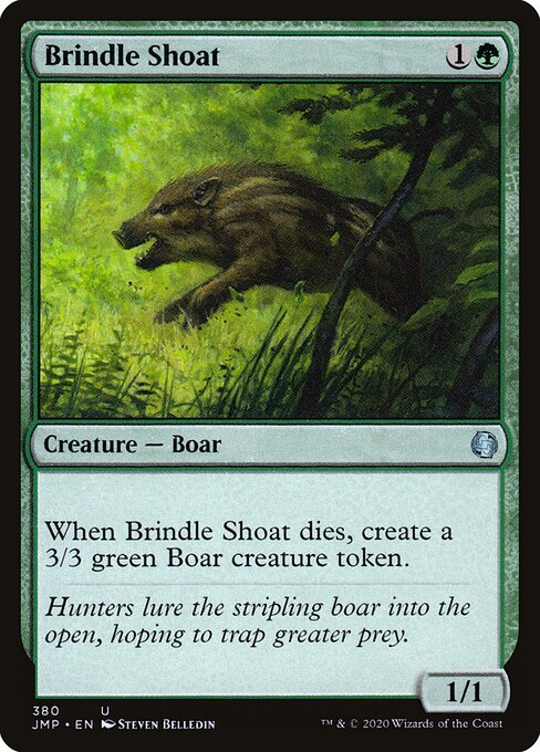 Brindle Shoat 380