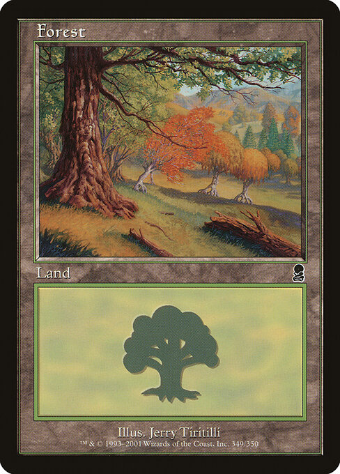 Forest 349