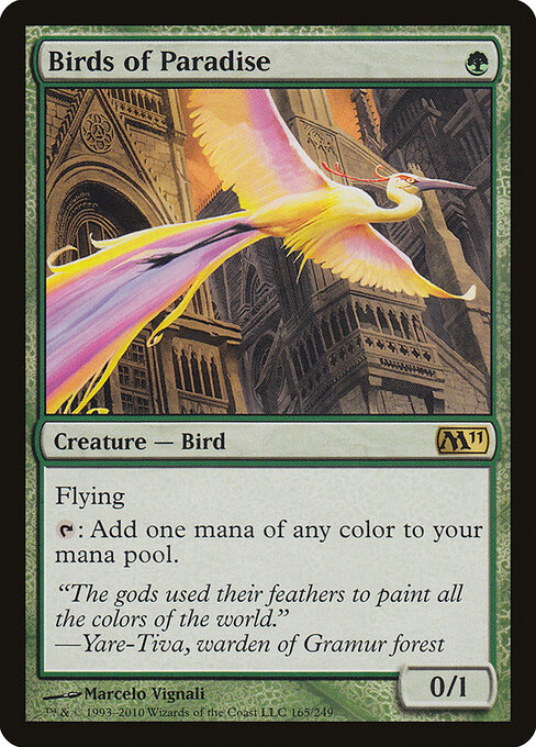 Birds of Paradise 165