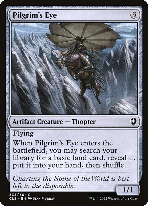 Pilgrim's Eye 333