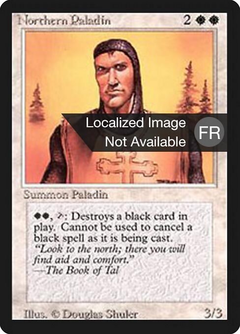Northern Paladin 29