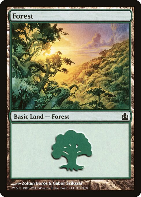Forest 317