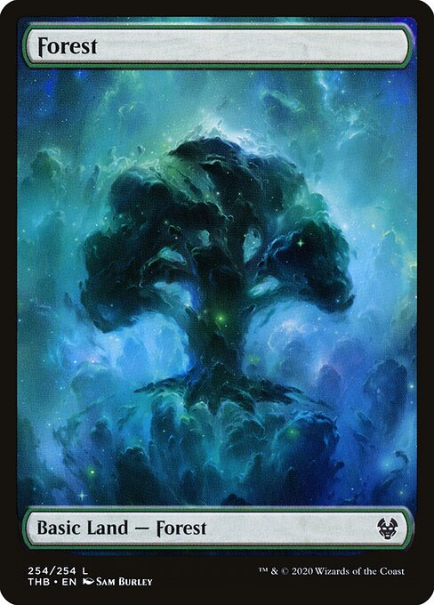 Forest 254