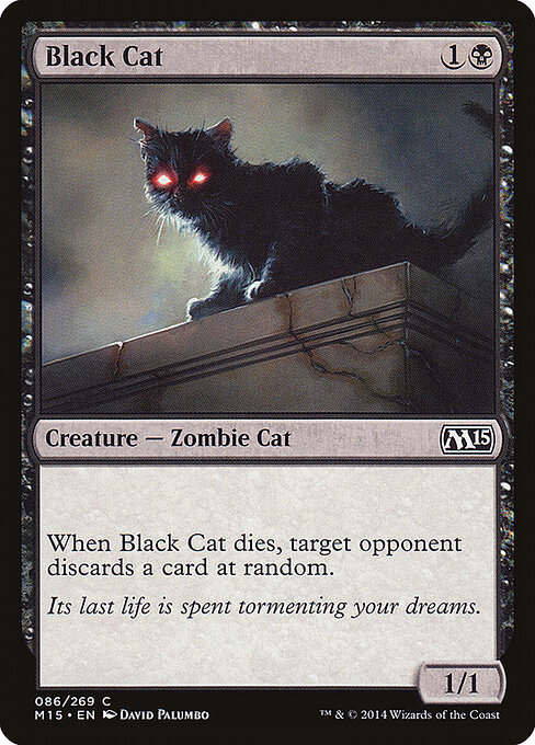 Black Cat 86