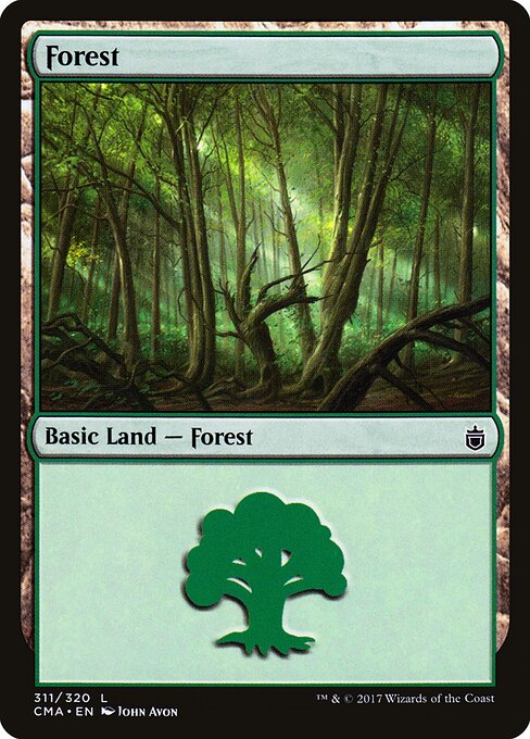 Forest 311