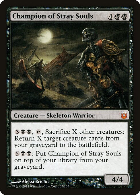 Champion of Stray Souls 63