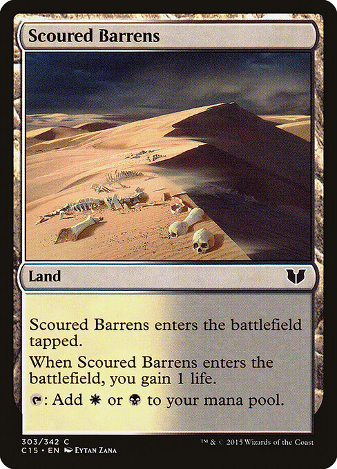 Scoured Barrens 303