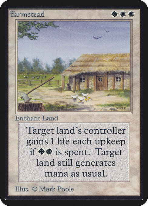Farmstead 19