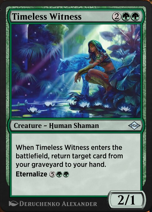 Timeless Witness 654