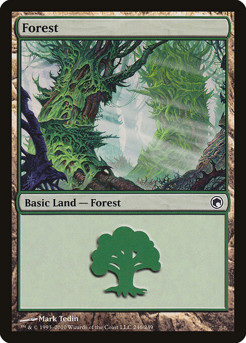 Forest 246