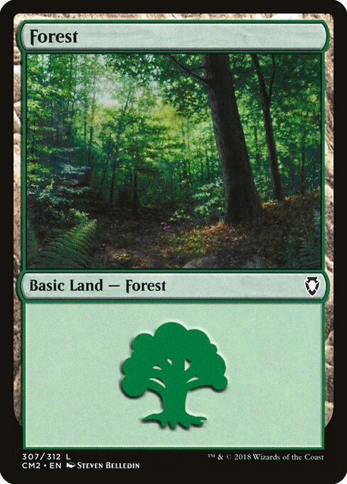 Forest 307