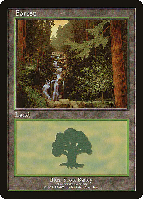 Forest 1