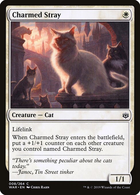 Charmed Stray 8