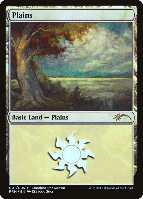 Plains 1
