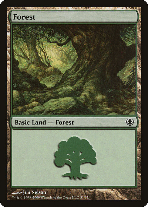 Forest 31