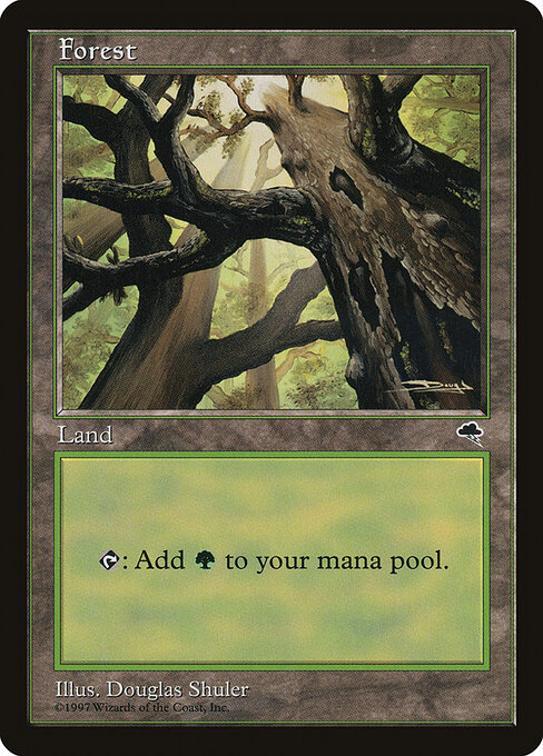 Forest 347