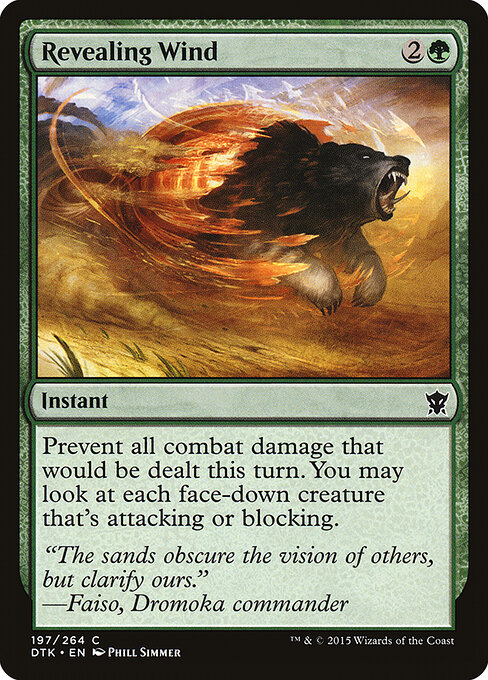 Revealing Wind 197