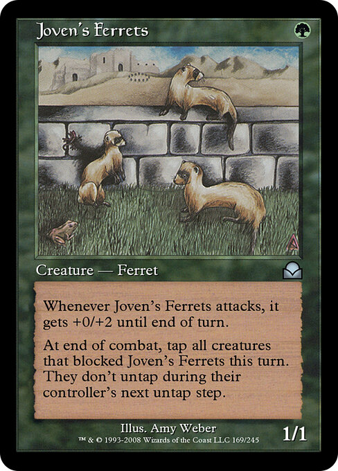 Joven's Ferrets 169