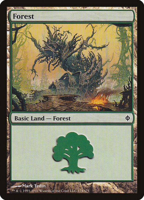 Forest 174
