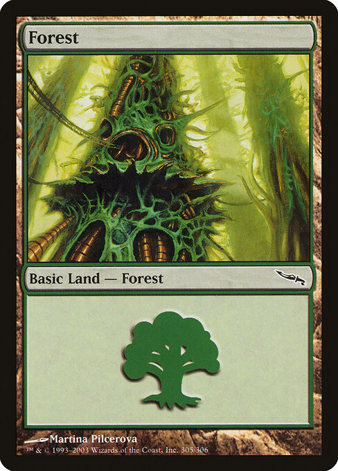 Forest 305