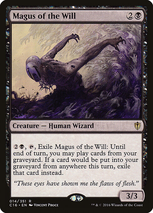 Magus of the Will 14