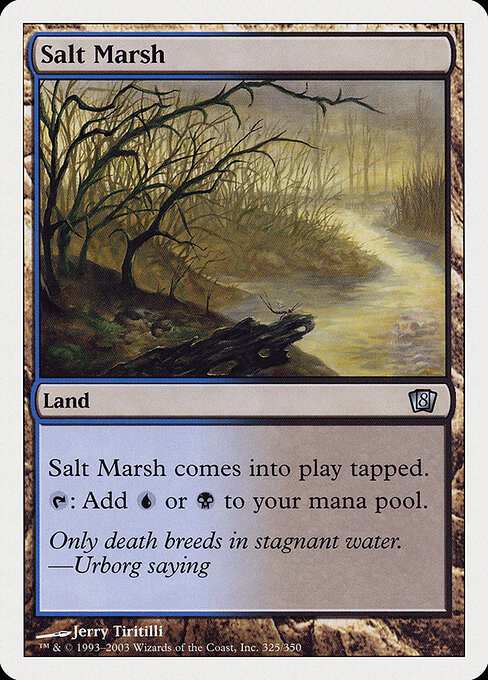 Salt Marsh 325