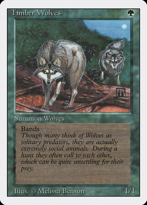 Timber Wolves 219