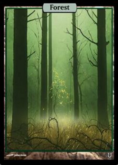 Forest 302