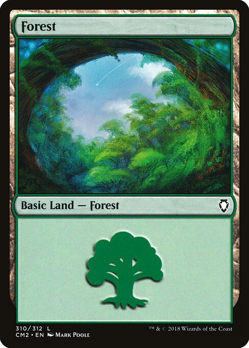 Forest 310