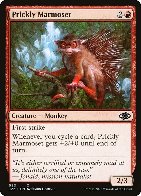 Prickly Marmoset 580