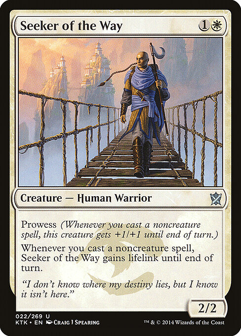 Seeker of the Way 22