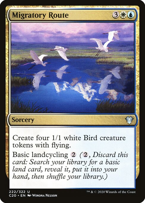Migratory Route 222