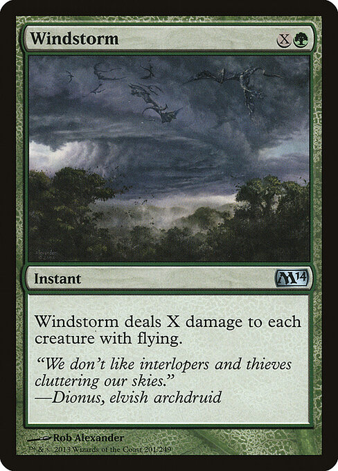 Windstorm 201