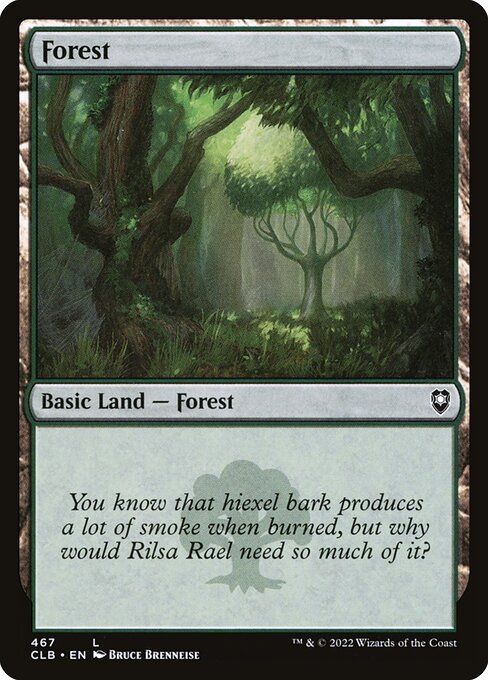Forest 467